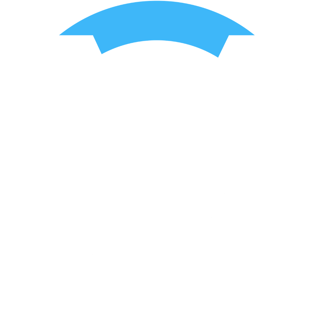 Vividi for Life Logo